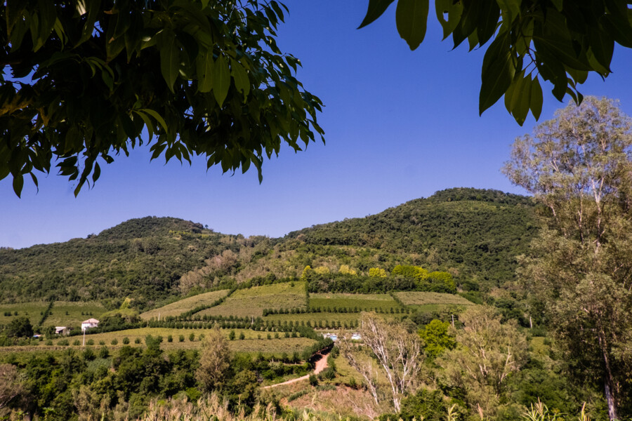 DSCF4845.jpg